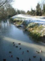 Burwell Lode 6.jpg
44.48 KB
384 x 512
4/26/02